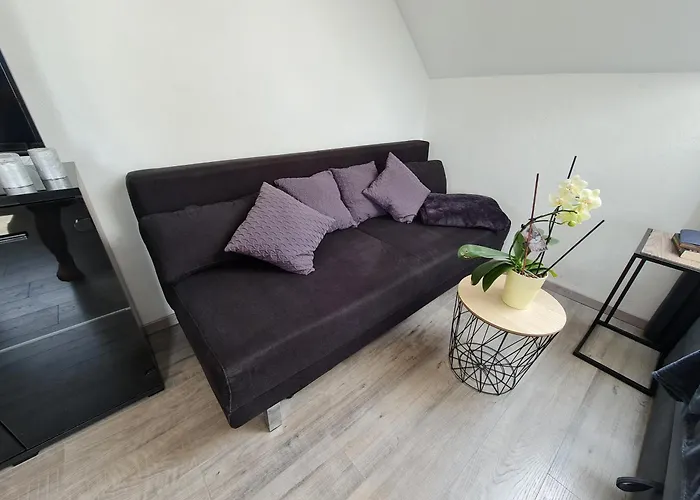 아파트 Steinershausen *